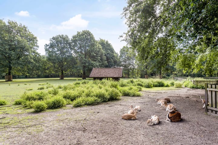 Foto 34 van Nassaustraat 18