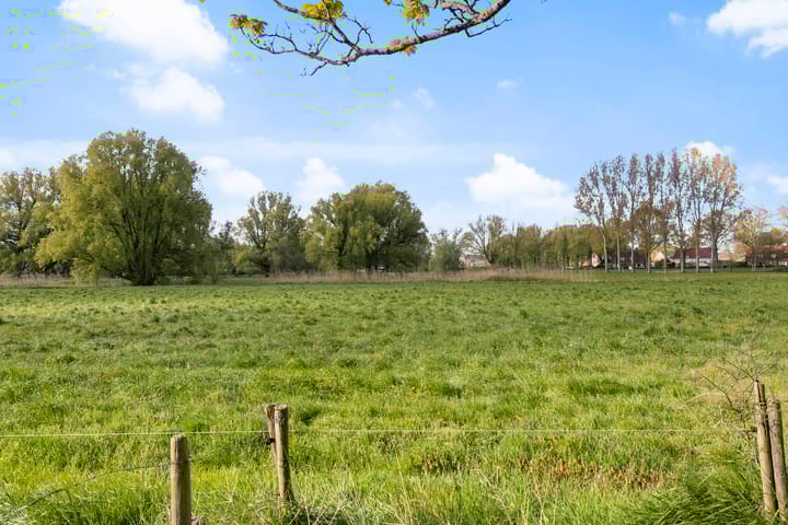 Foto 36 van Nassaustraat 18