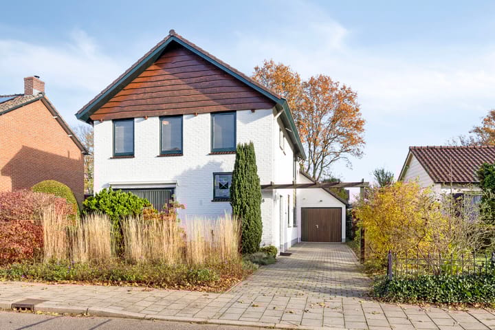 Foto 2 van Terborgseveld 8