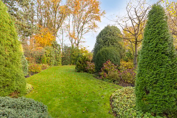 Foto 39 van Terborgseveld 8