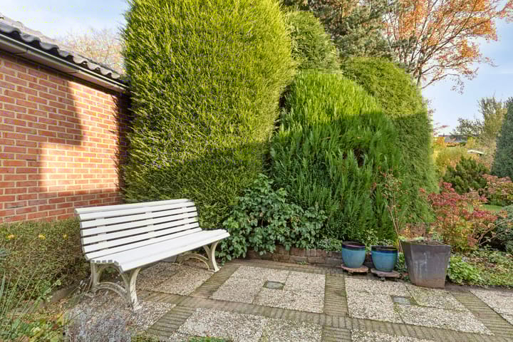 Foto 43 van Terborgseveld 8