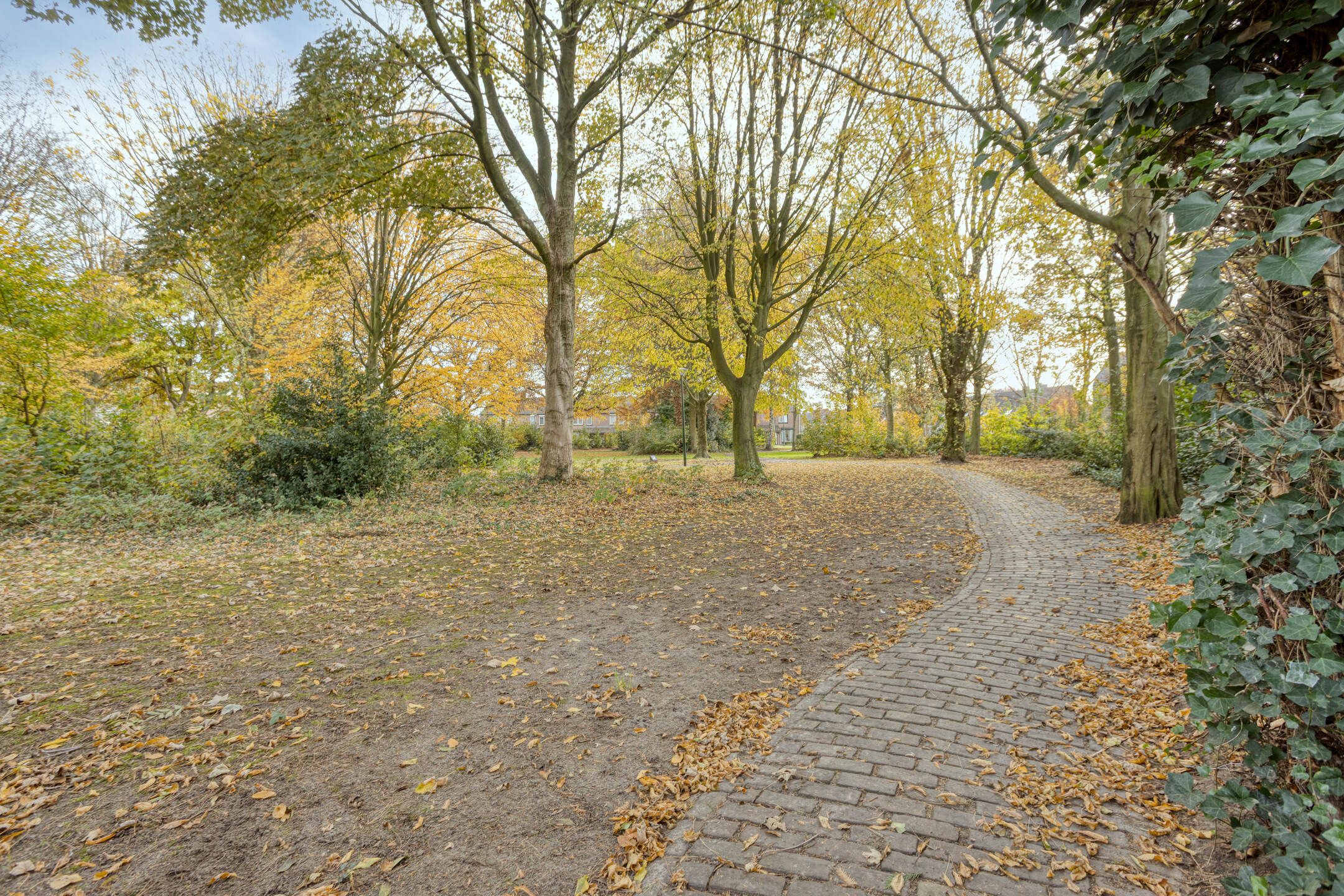 Foto 33 van Zwaluwendonk 27