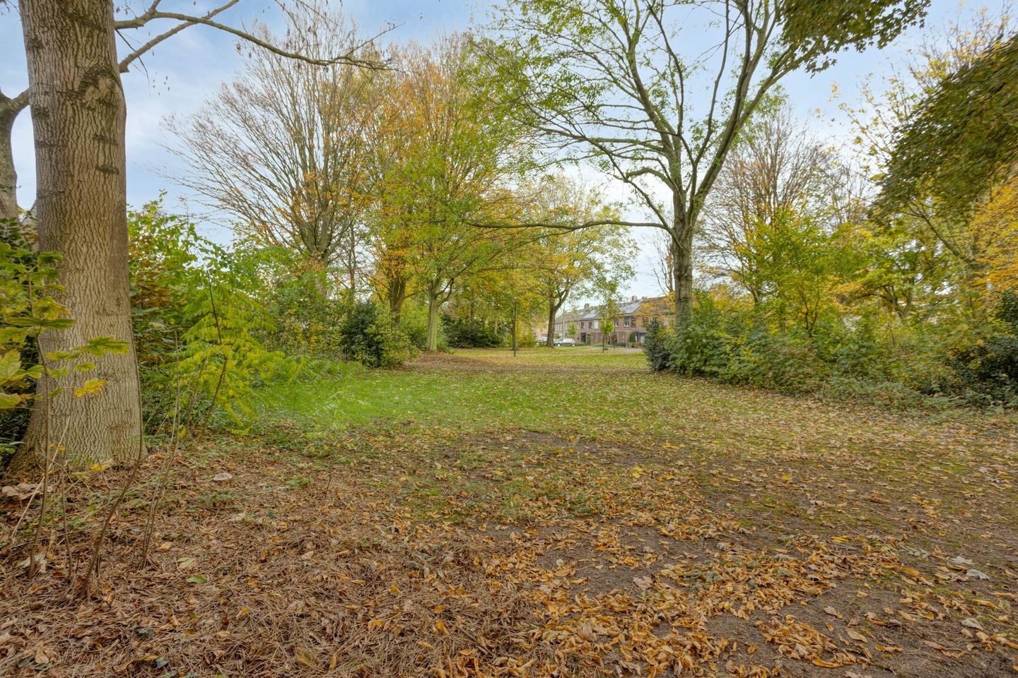 Foto 34 van Zwaluwendonk 27