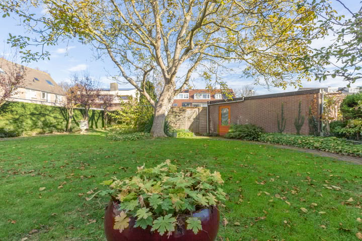 Foto 4 van Leidsevaartlaan 35