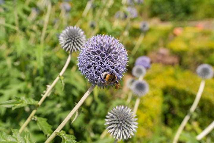 Foto 50 van Nijmeegseweg 71