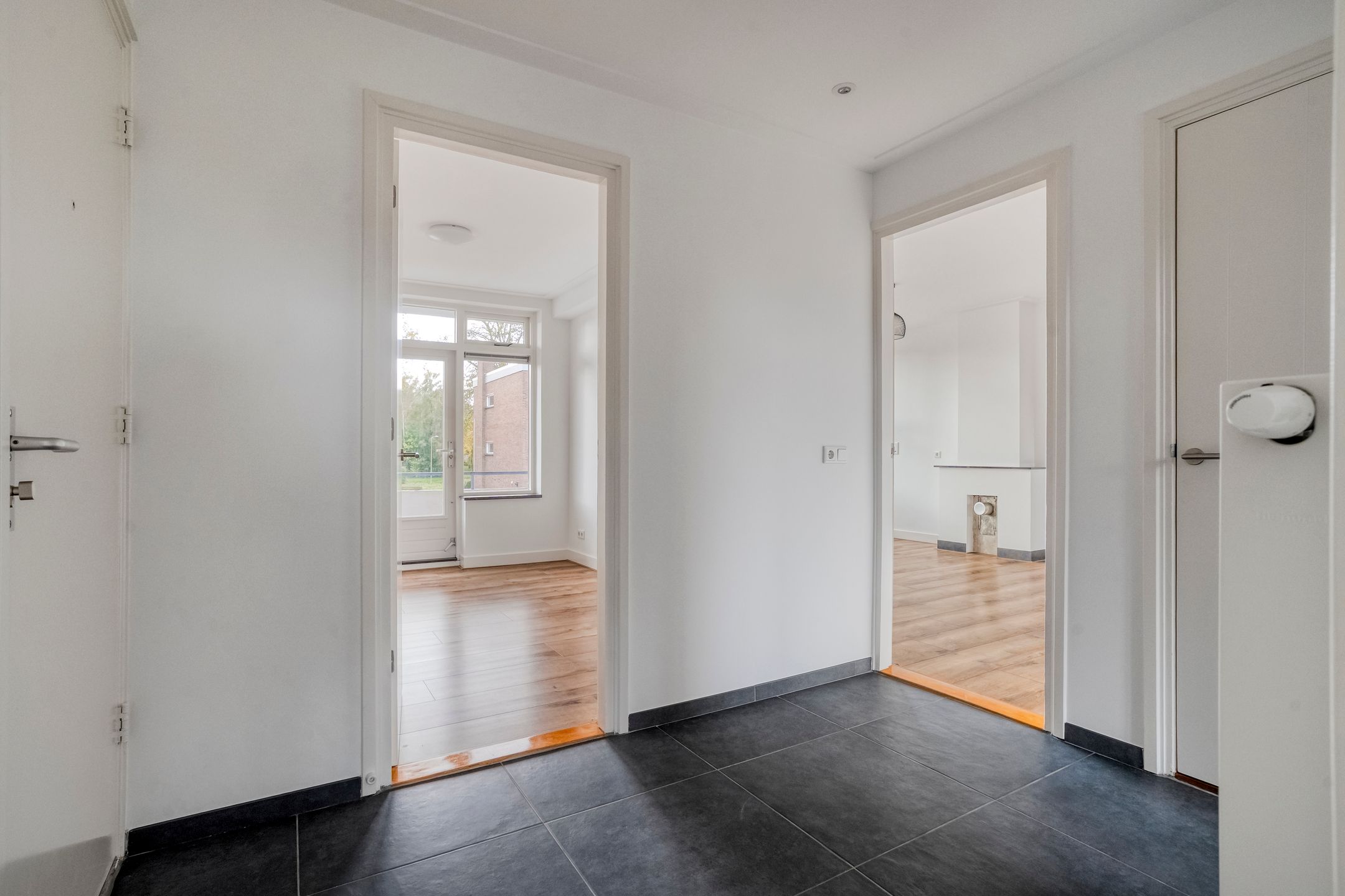 Foto 6 van Hornstraat 67