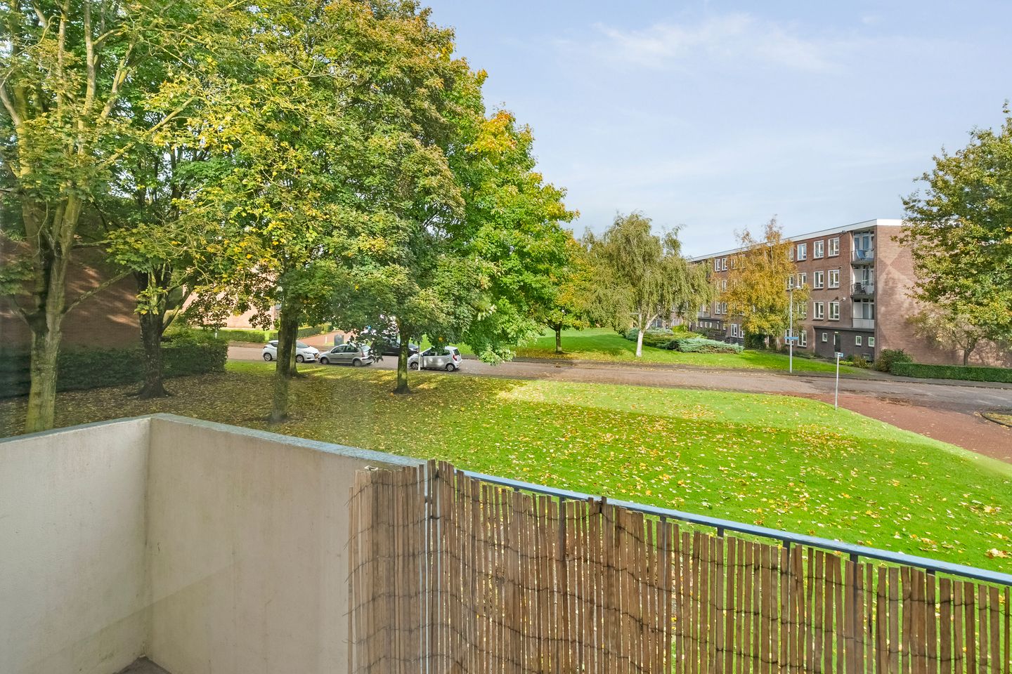 Foto 20 van Hornstraat 67