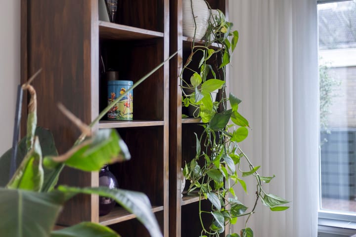 Foto 14 van Elshof 42