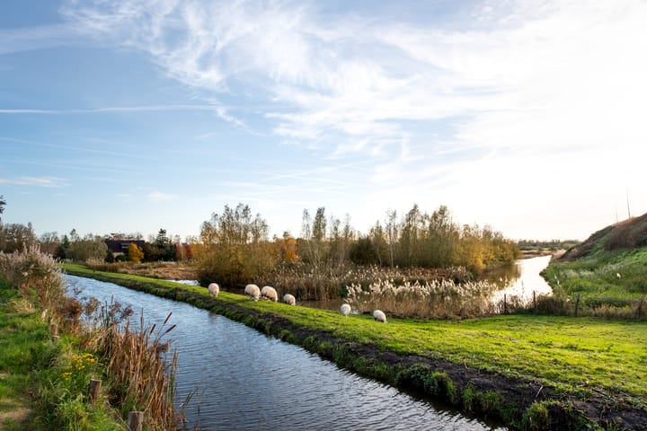 Foto 35 van Osdorperweg 818