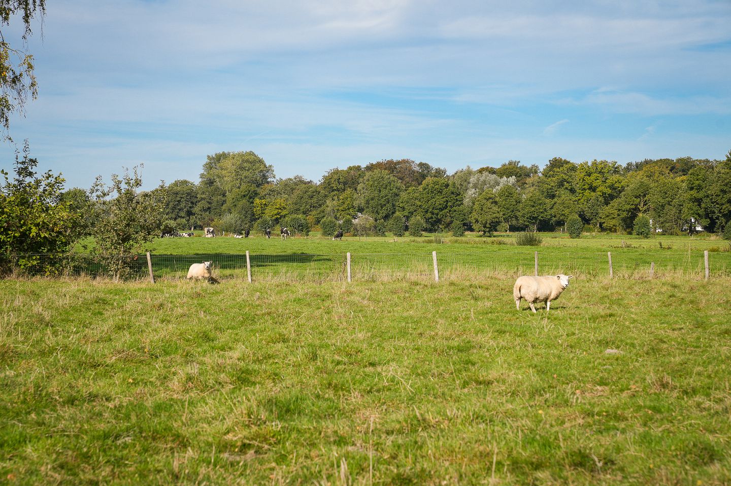 Foto 20 van Ekris 87-A