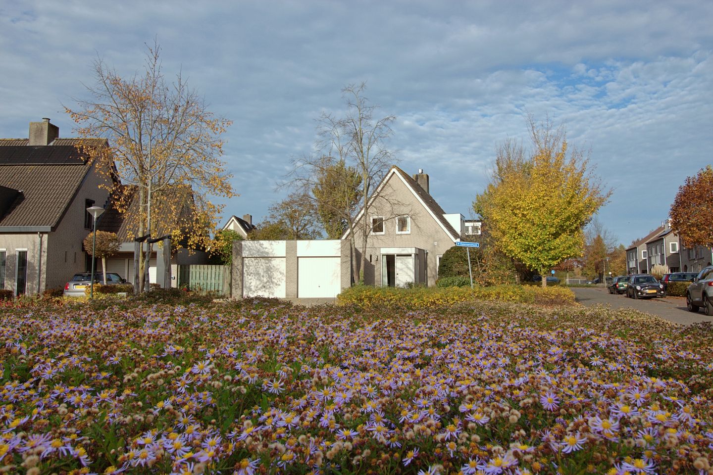 Foto 50 van Ooievaarshoek 13