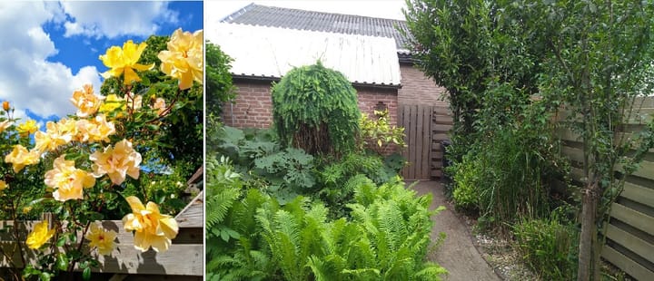 Photo 27 of Daalseweg 66