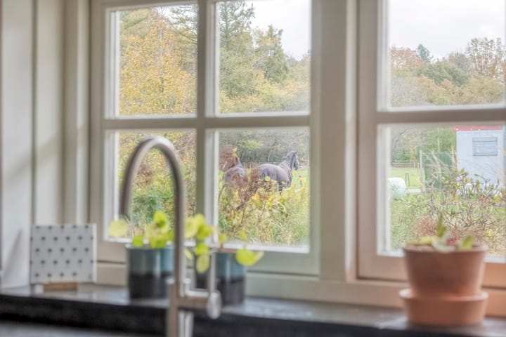 Photo 43 of Veldsteeg 1-A