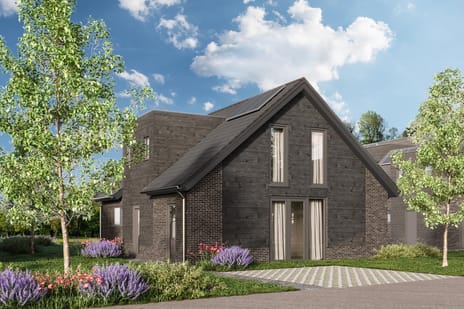 undefined main image