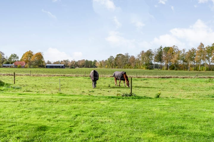 Photo 78 of Veldsteeg 1-A