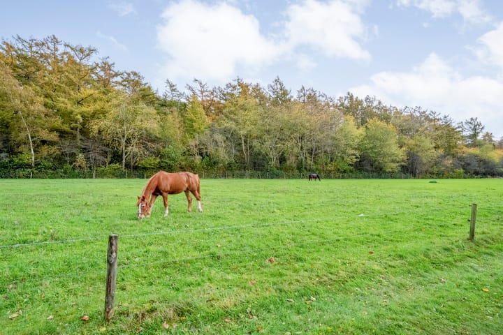 Photo 80 of Veldsteeg 1-A