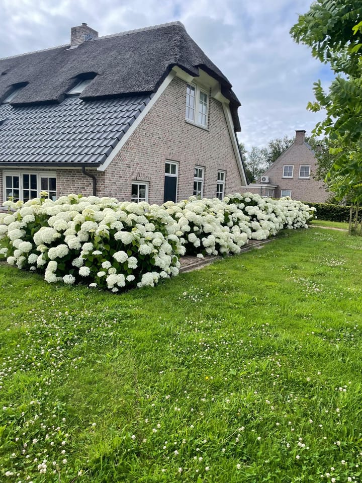 Photo 82 of Veldsteeg 1-A