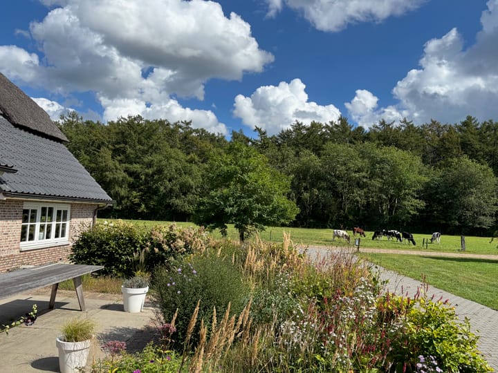 Photo 84 of Veldsteeg 1-A