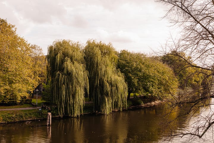 Foto 8 van Geuzenkade 96-A