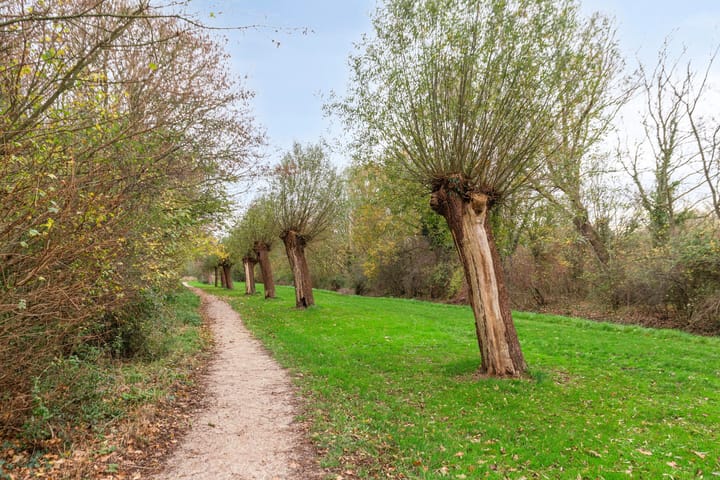 Photo 39 of De Mey van Streefkerklaan 2