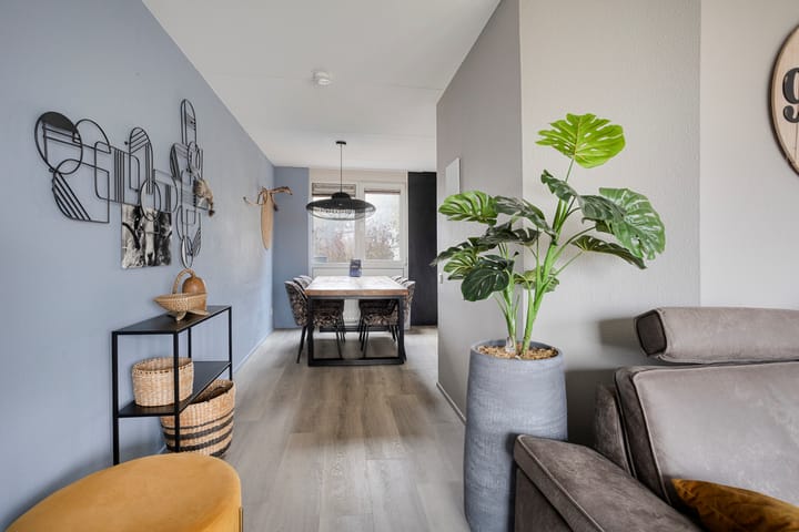 Photo 11 of Friesche Vlaak 1