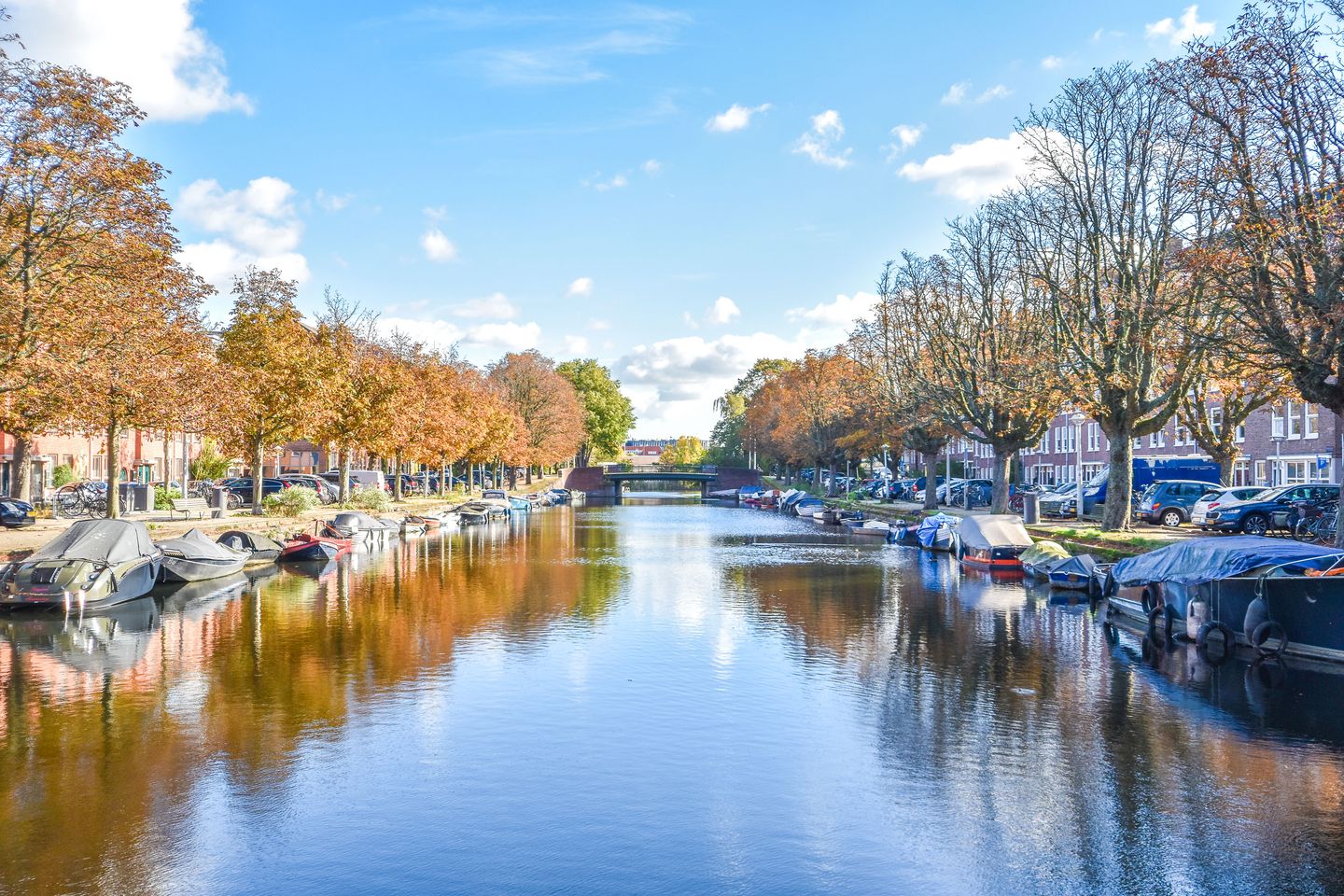 Foto 19 van Coppelstockstraat 54-1