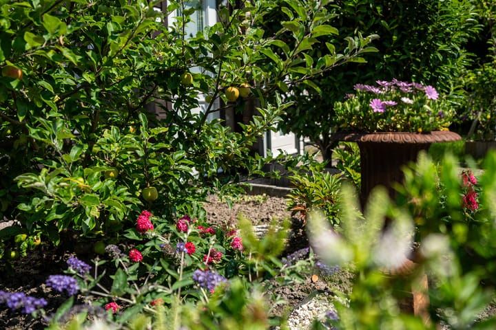 Foto 42 van Achterbosk 5