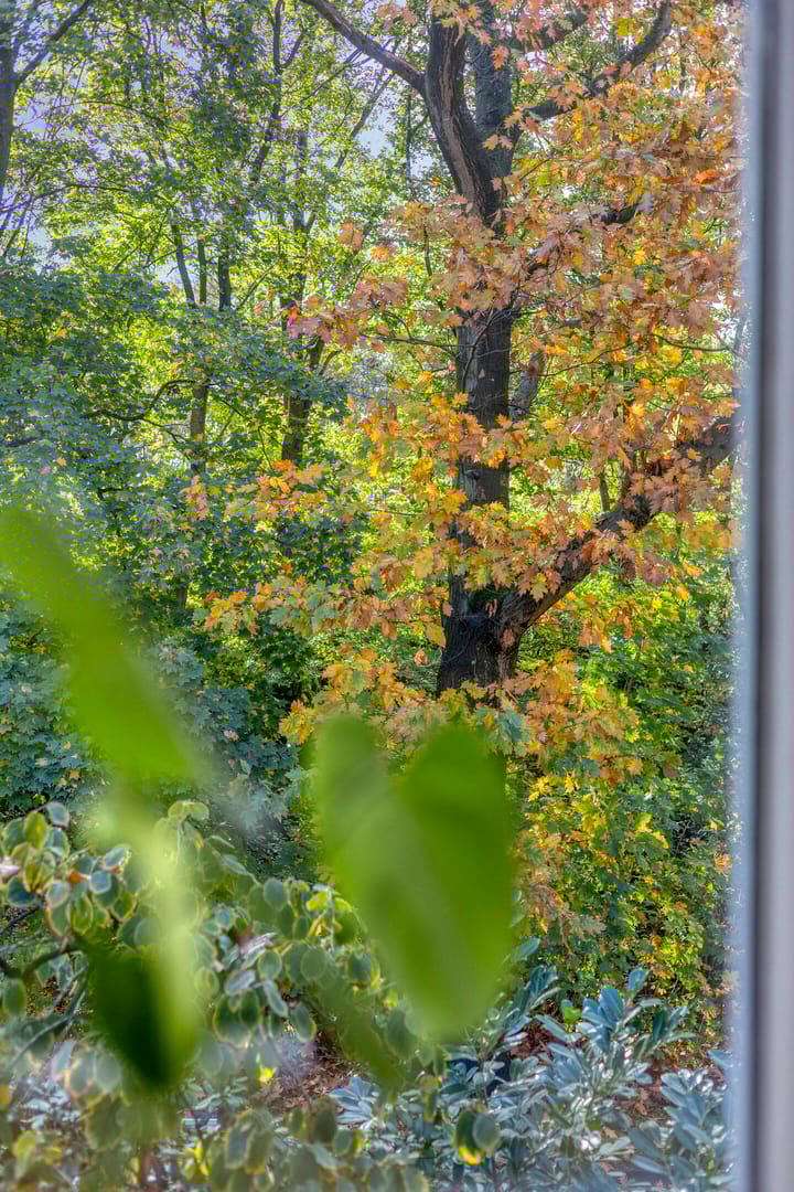 Photo 40 of Randweg 102