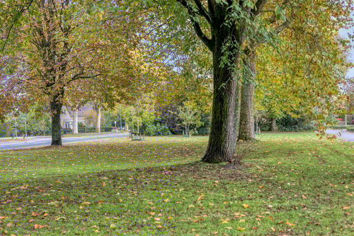 Photo 55 of Randweg 102