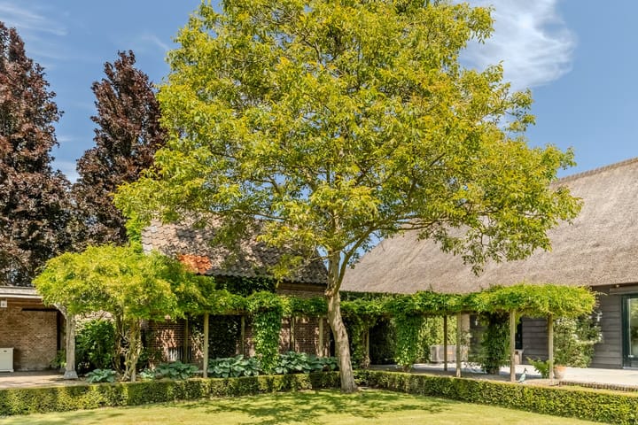 Photo 48 of Schansstraat 12