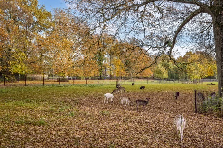 Foto 39 van Celsiuslaan 78