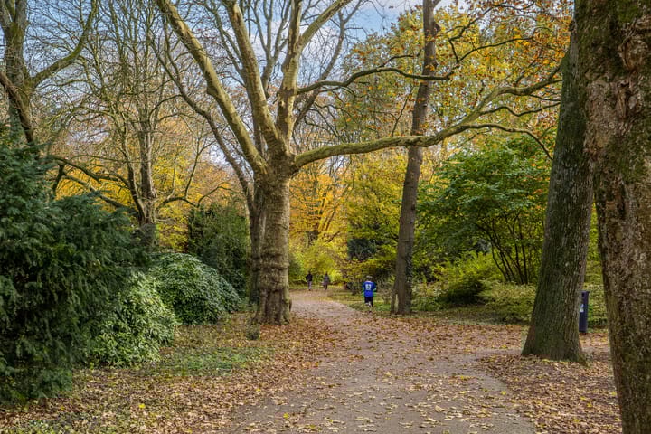 Foto 38 van Celsiuslaan 78