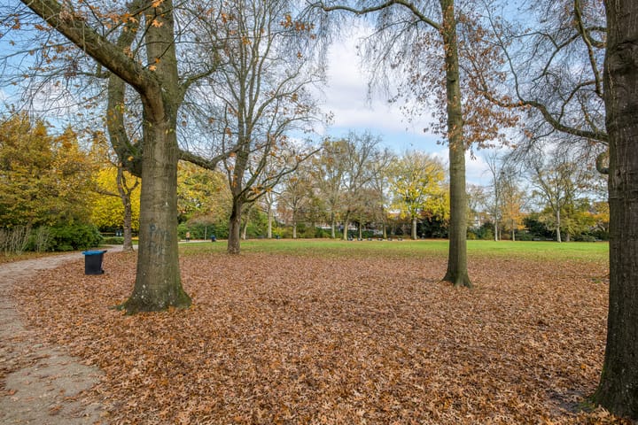 Foto 41 van Celsiuslaan 78