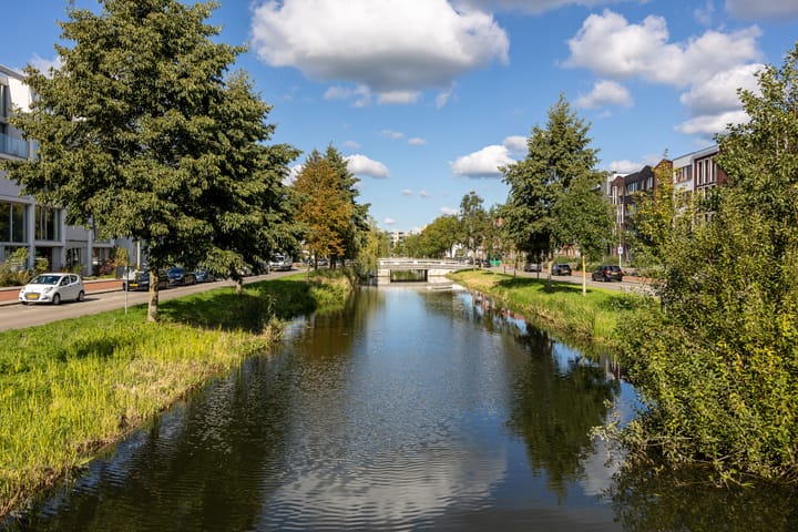 Foto 48 van Lippizanerstraat 55