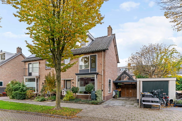 Foto 40 van Amalia van Solmslaan 13