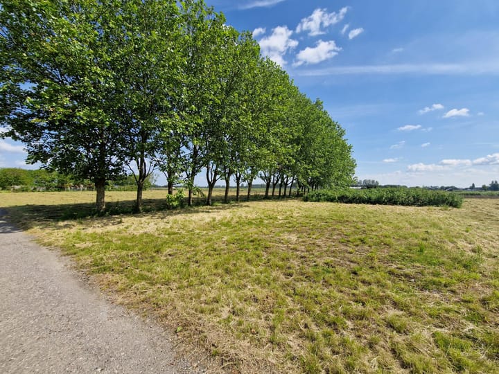 Photo 10 of Hoevenseweg 11-TO