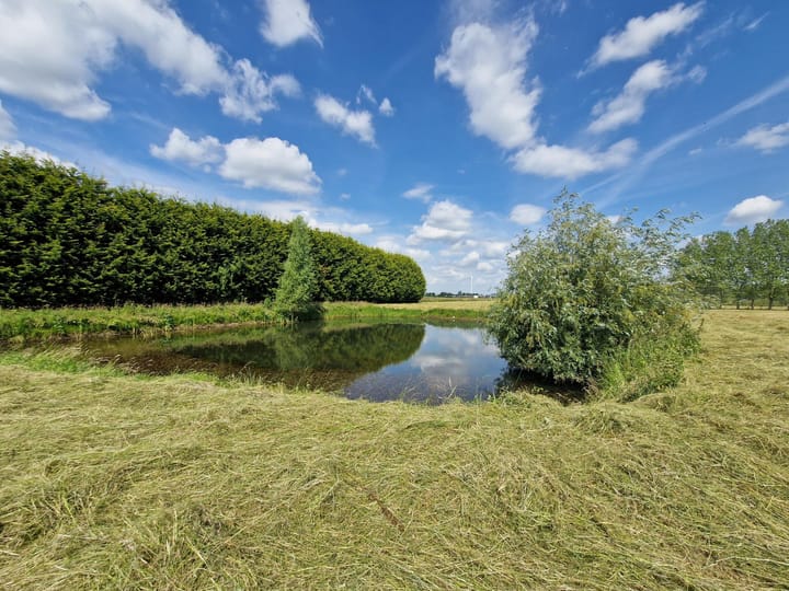 Photo 11 of Hoevenseweg 11-TO