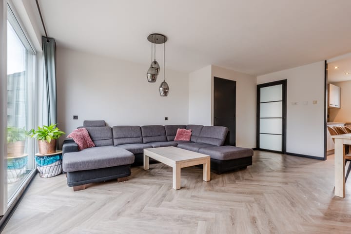 Photo 2 of Gele Varaan 54