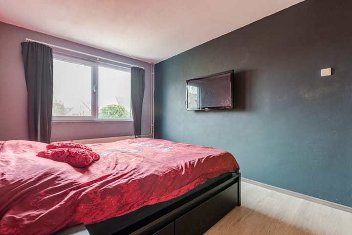 Photo 17 of Gele Varaan 54