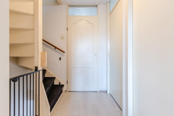 Photo 29 of Gele Varaan 54