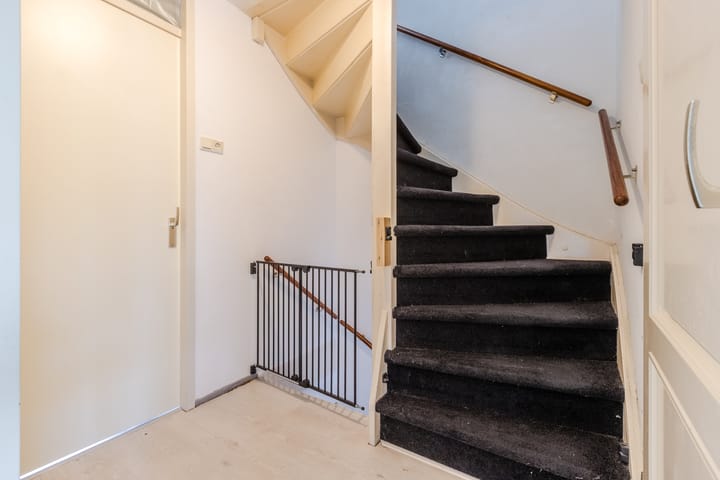 Photo 30 of Gele Varaan 54