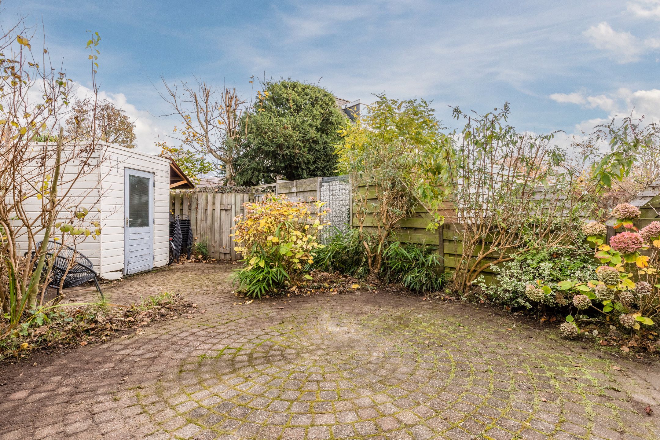 Foto 42 van Gele Varaan 54