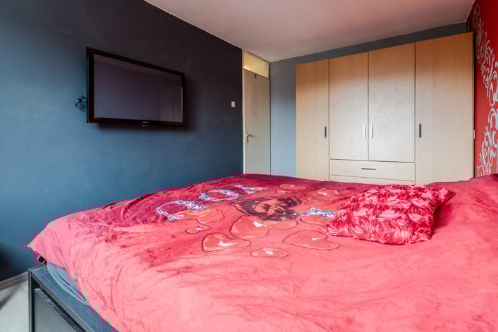 Photo 19 of Gele Varaan 54