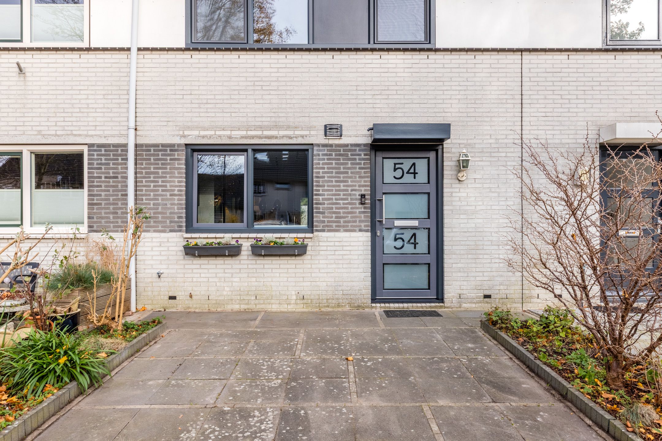 Foto 45 van Gele Varaan 54