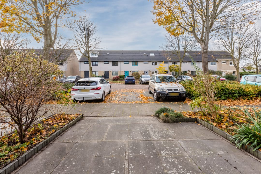 Foto 46 van Gele Varaan 54