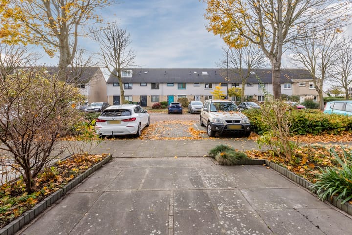 Photo 46 of Gele Varaan 54