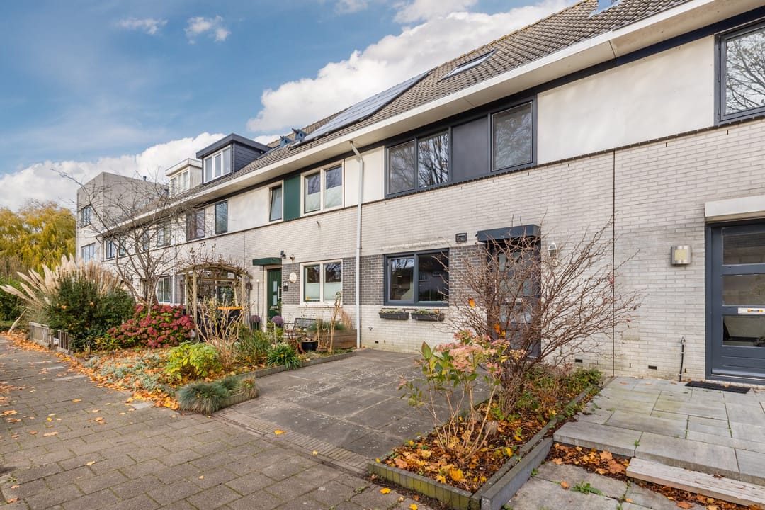 Foto 47 van Gele Varaan 54