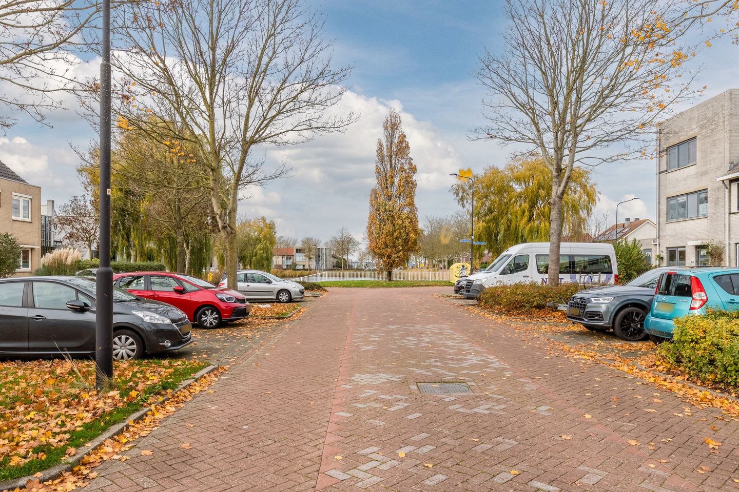 Foto 49 van Gele Varaan 54