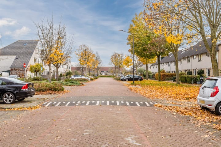 Photo 50 of Gele Varaan 54