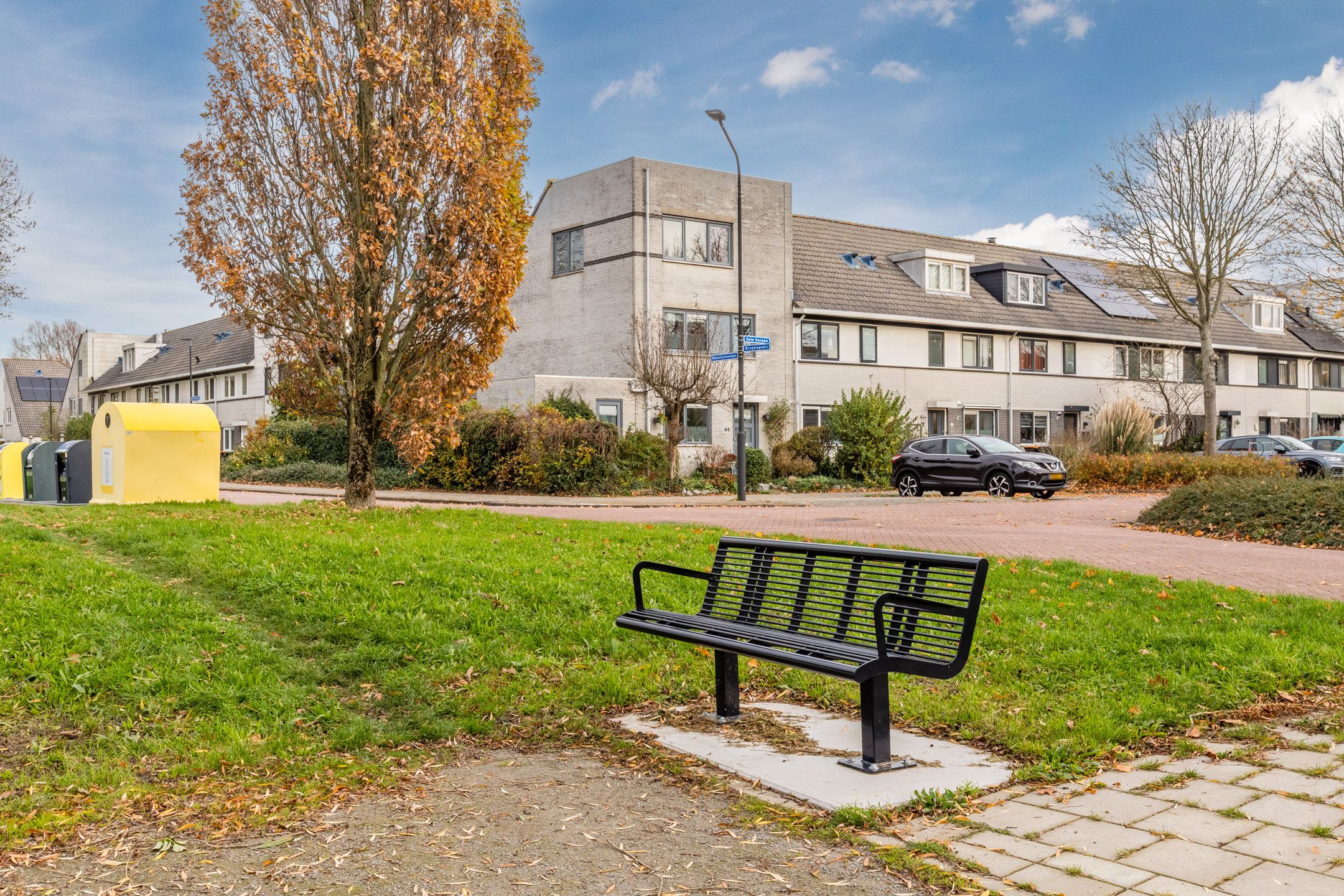 Foto 51 van Gele Varaan 54